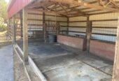 Horse barn & paddock for rent