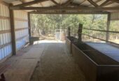 Horse barn & paddock for rent