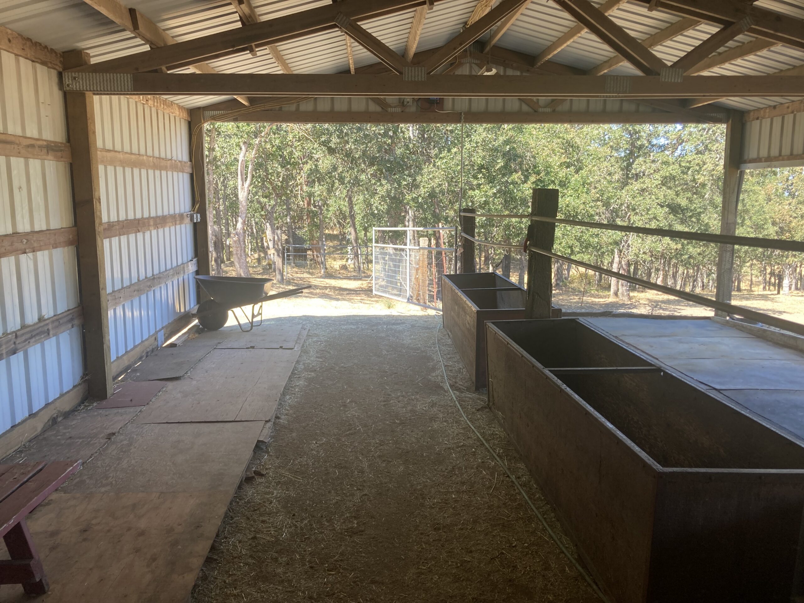 Horse barn & paddock for rent