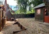 Furnished home in central Hood River