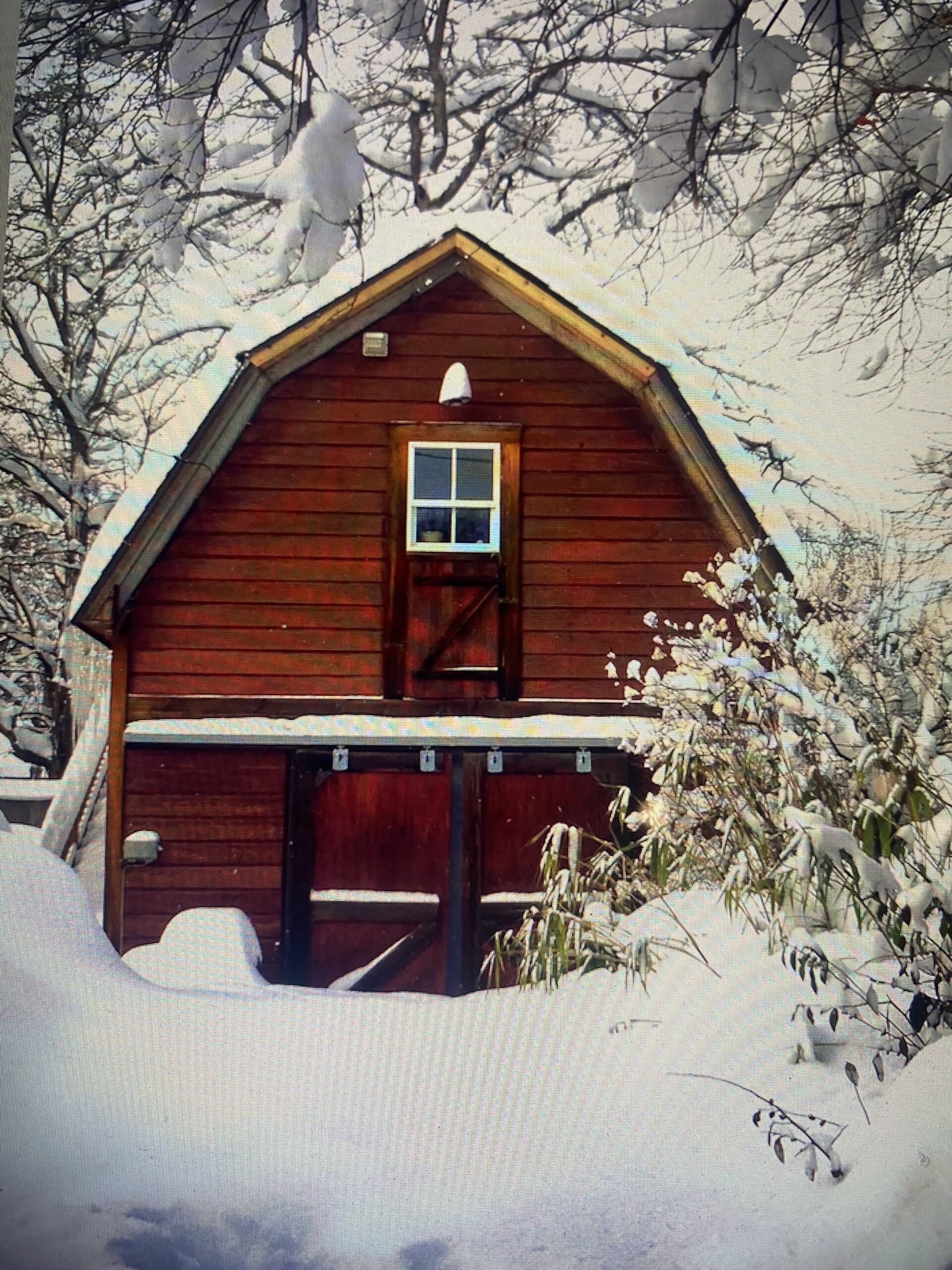 Furnished Studio Carriage House
