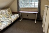 Room in House in Trout Lake