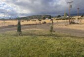 Charming country hobby farm