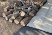Free Cedar Rounds
