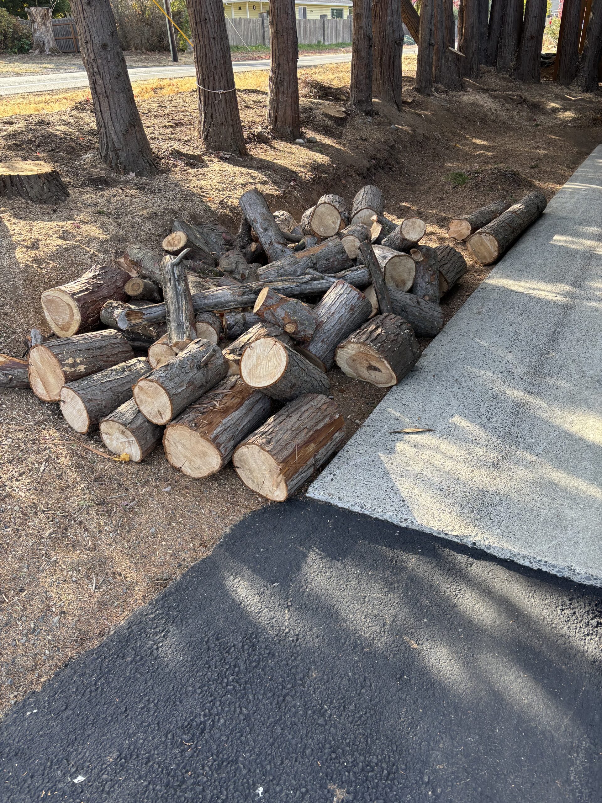Free Cedar Rounds