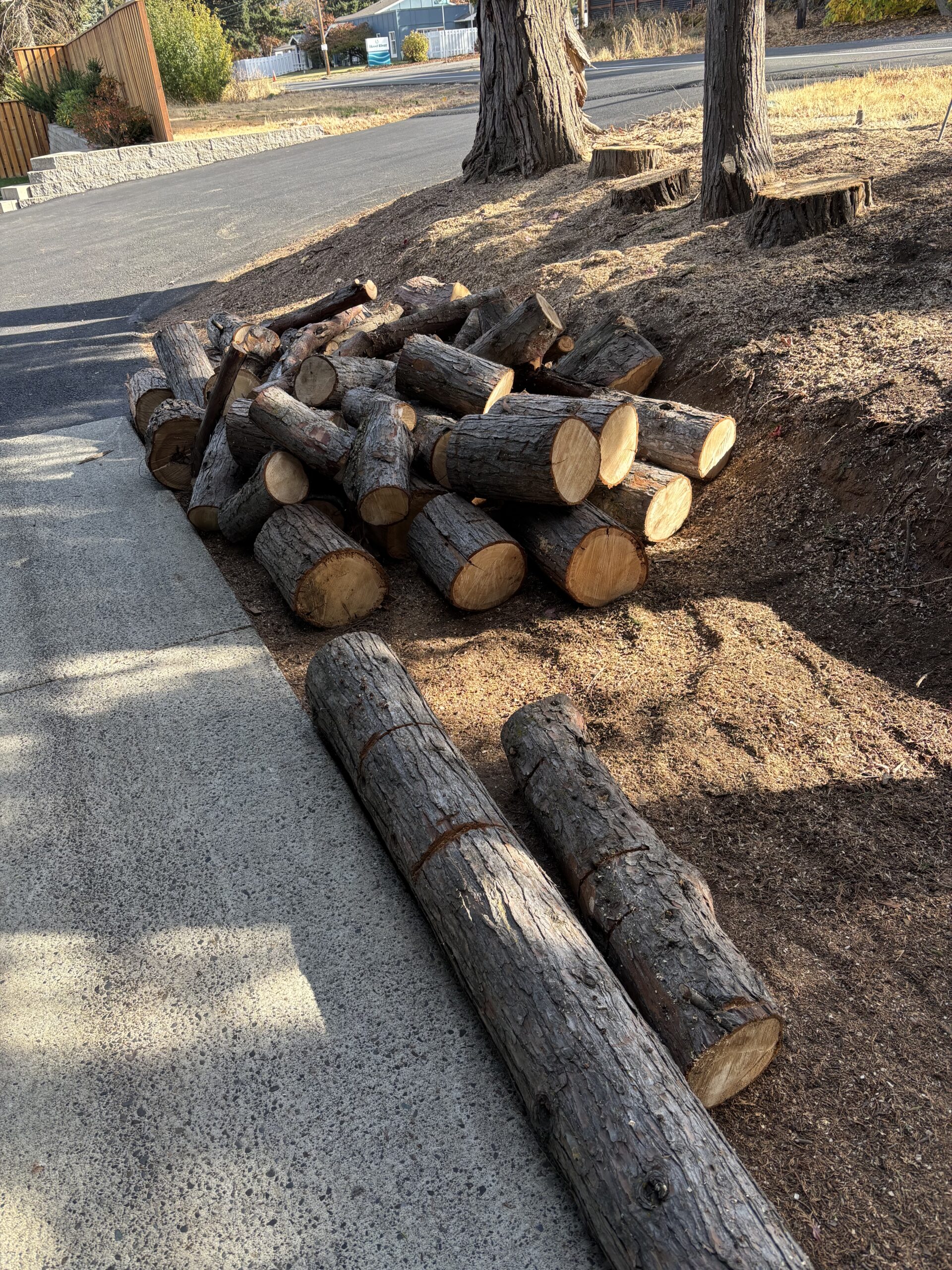 Free Cedar Rounds
